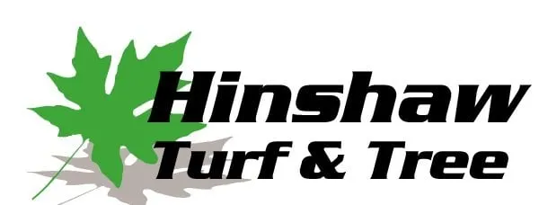 Top-rated yard cleanup service in Asheville, NC - Hinshaw Turf & Tree