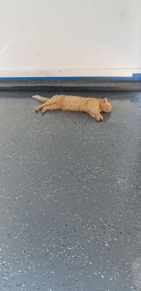 Professional lawn care service in Hartwell, GA by Hinsley's landscaping