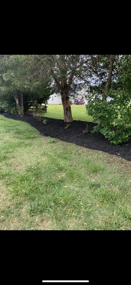 Reliable residential landscaping in Rock Hill, SC - Hinson lawn care