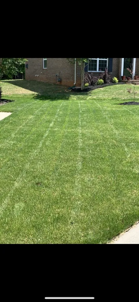 Professional outdoor landscaping near you in Rock Hill, SC by Hinson lawn care