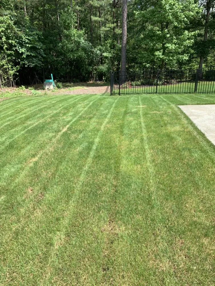Affordable yard maintenance in Rock Hill, SC - Hinson lawn care