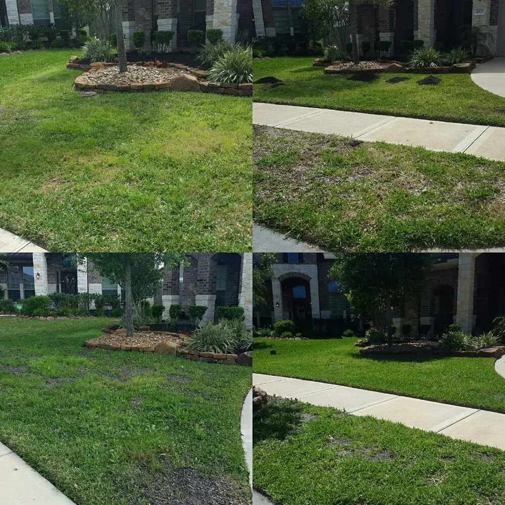 Trusted yard maintenance near you across League City, TX - Hippie Fertilizing