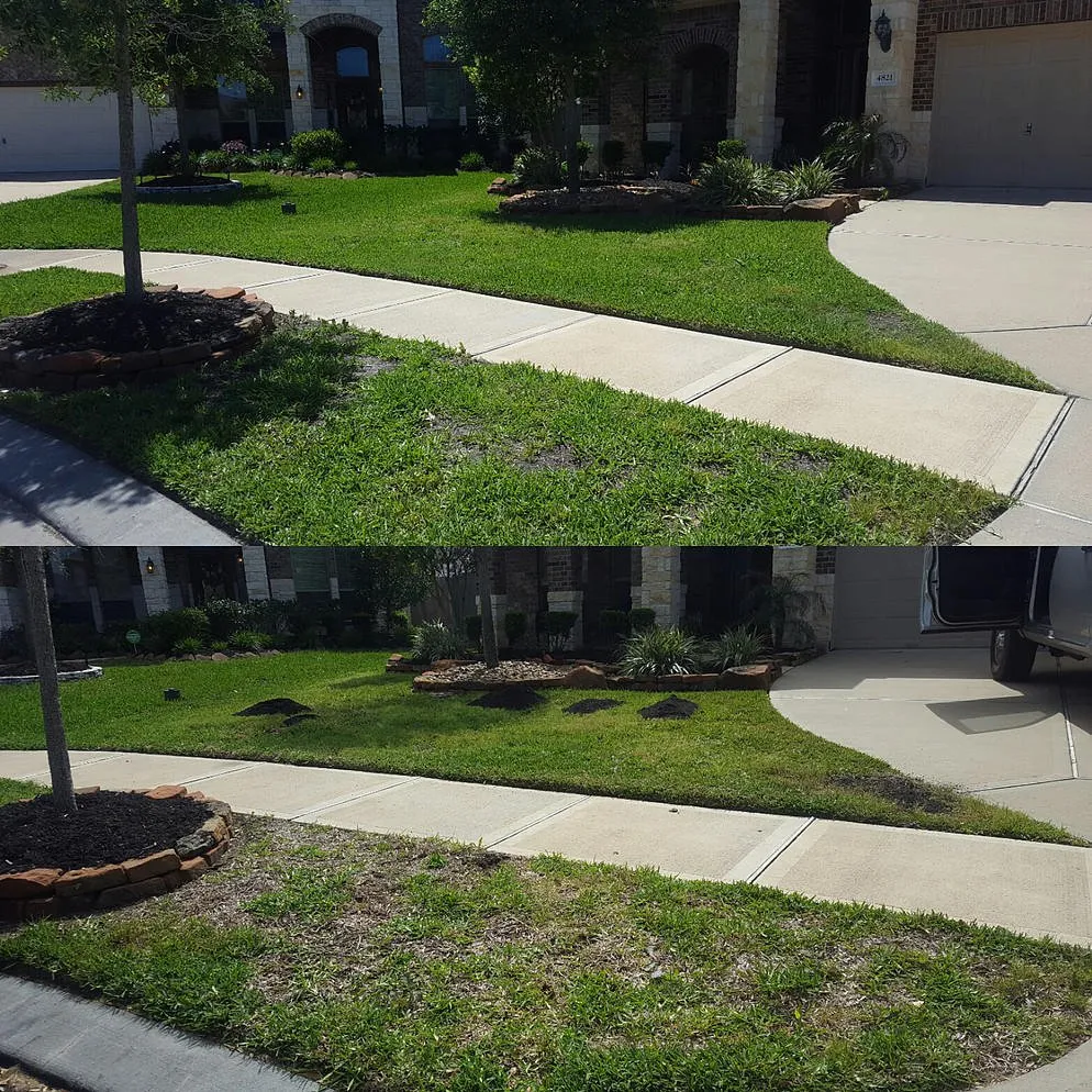 Trusted landscaping services near you across League City, TX - Hippie Fertilizing