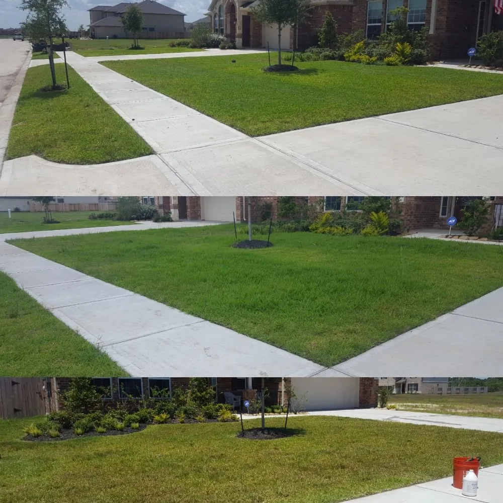Affordable outdoor landscaping in League City, TX by Hippie Fertilizing