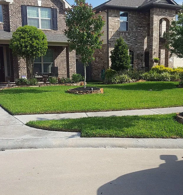 Top-rated outdoor landscaping in League City, TX by Hippie Fertilizing