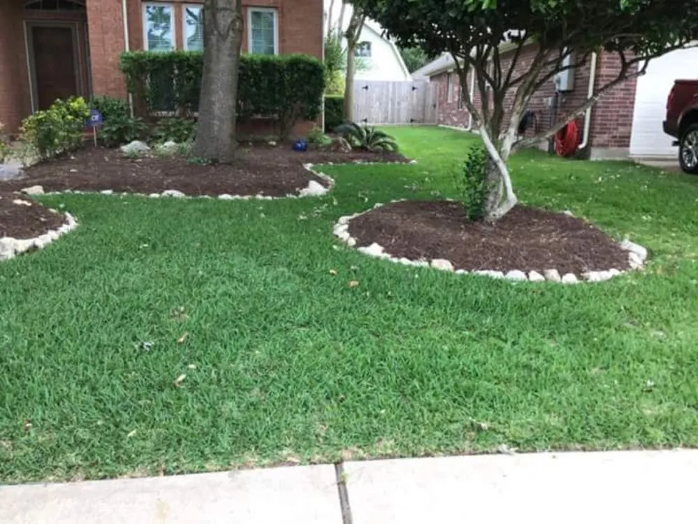 Local yard cleanup service in League City, TX by Hippie Fertilizing