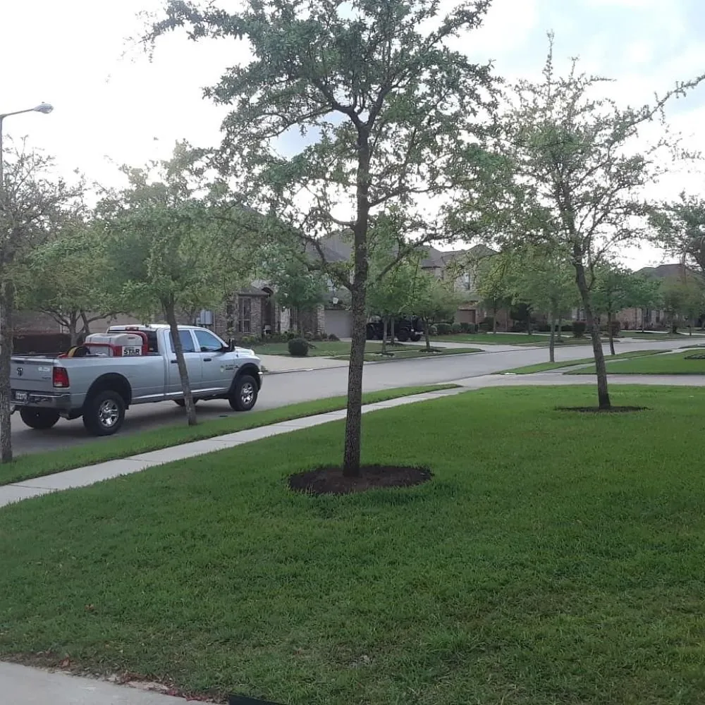 Top-rated yard maintenance in League City, TX by Hippie Fertilizing