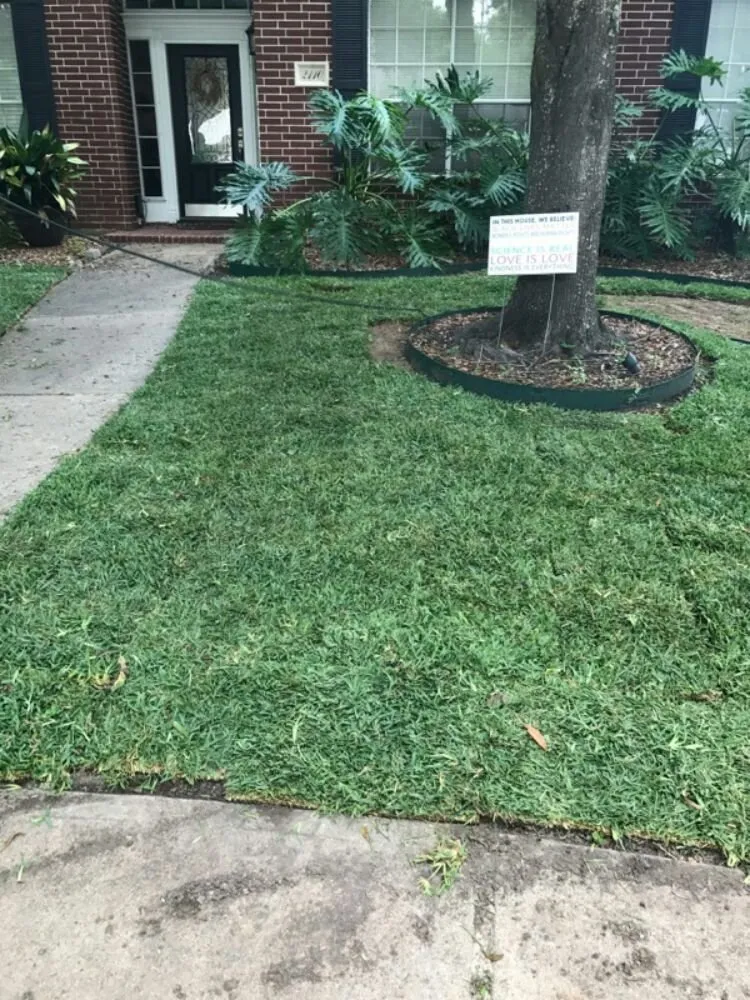 Expert yard maintenance for beautiful yards across League City, TX - Hippie Fertilizing