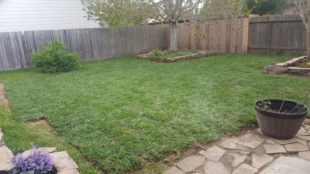 Custom landscape installation for beautiful yards across League City, TX - Hippie Fertilizing