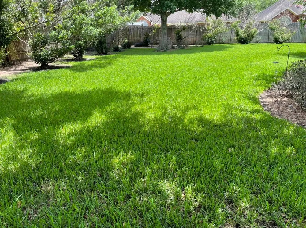 Trusted landscape design in League City, TX - Hippie Fertilizing