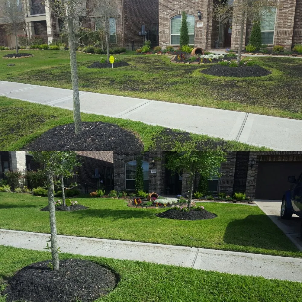 Custom outdoor landscaping in League City, TX - Hippie Fertilizing