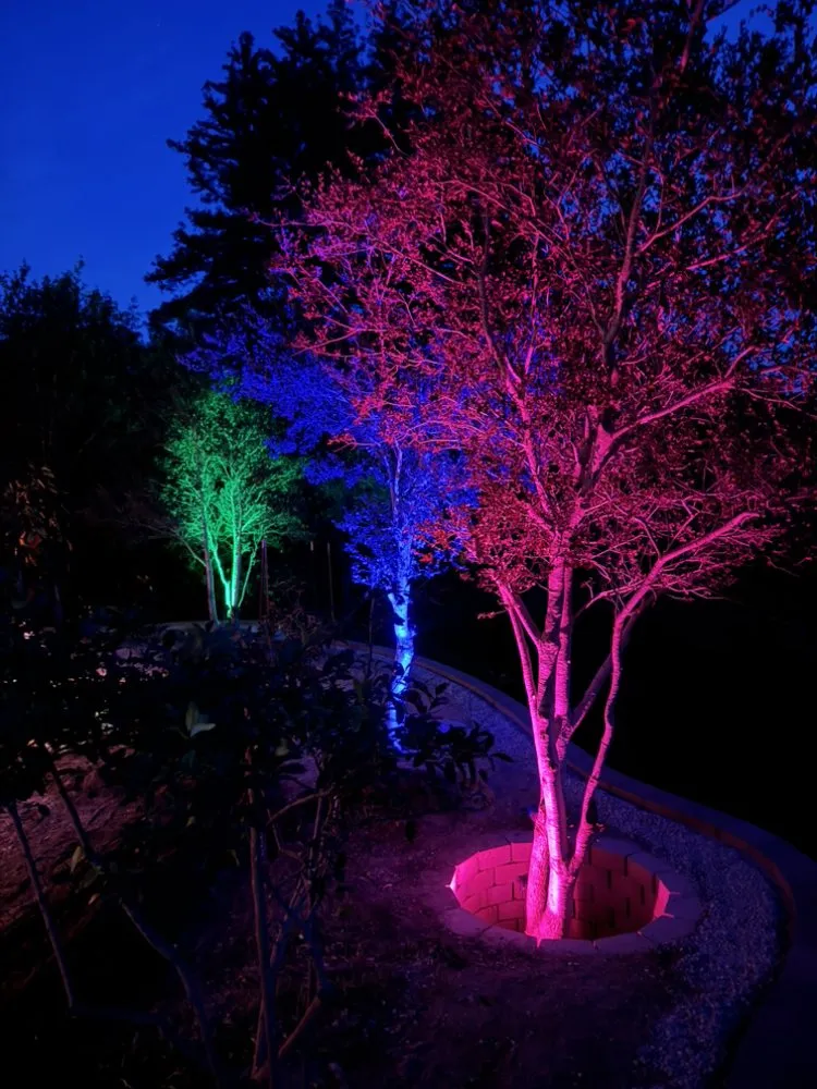 Reliable lawn mowing service experts serving Santa Cruz, CA - Hippos Landscape Services