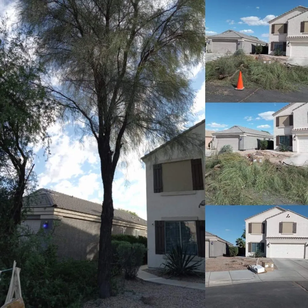 Trusted outdoor landscaping experts serving Casa Grande, AZ - Hire A Henchman DBA The Molina Family Group