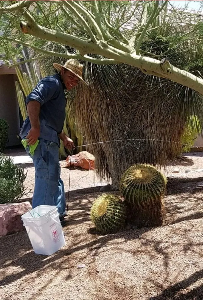Affordable yard cleanup service for homes in Casa Grande, AZ by Hire A Henchman DBA The Molina Family Group