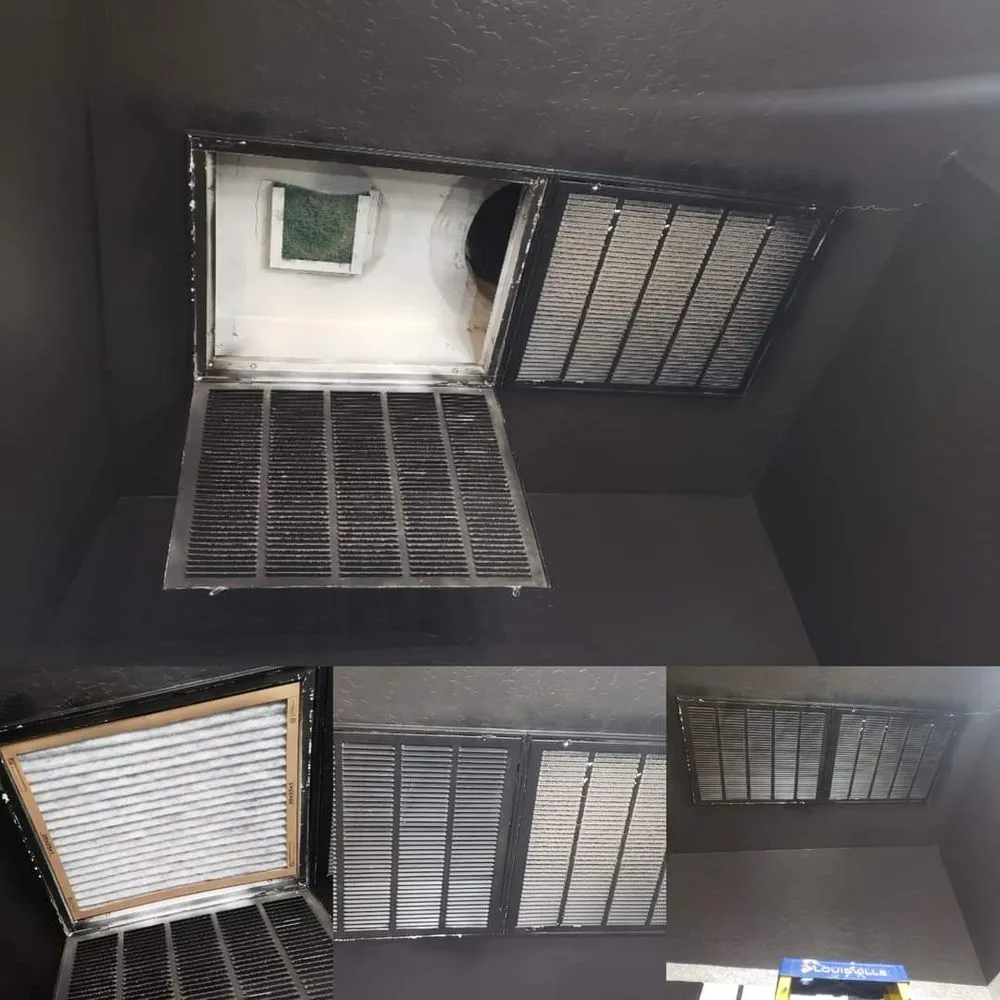 Reliable landscape installation in Casa Grande, AZ by Hire A Henchman DBA The Molina Family Group