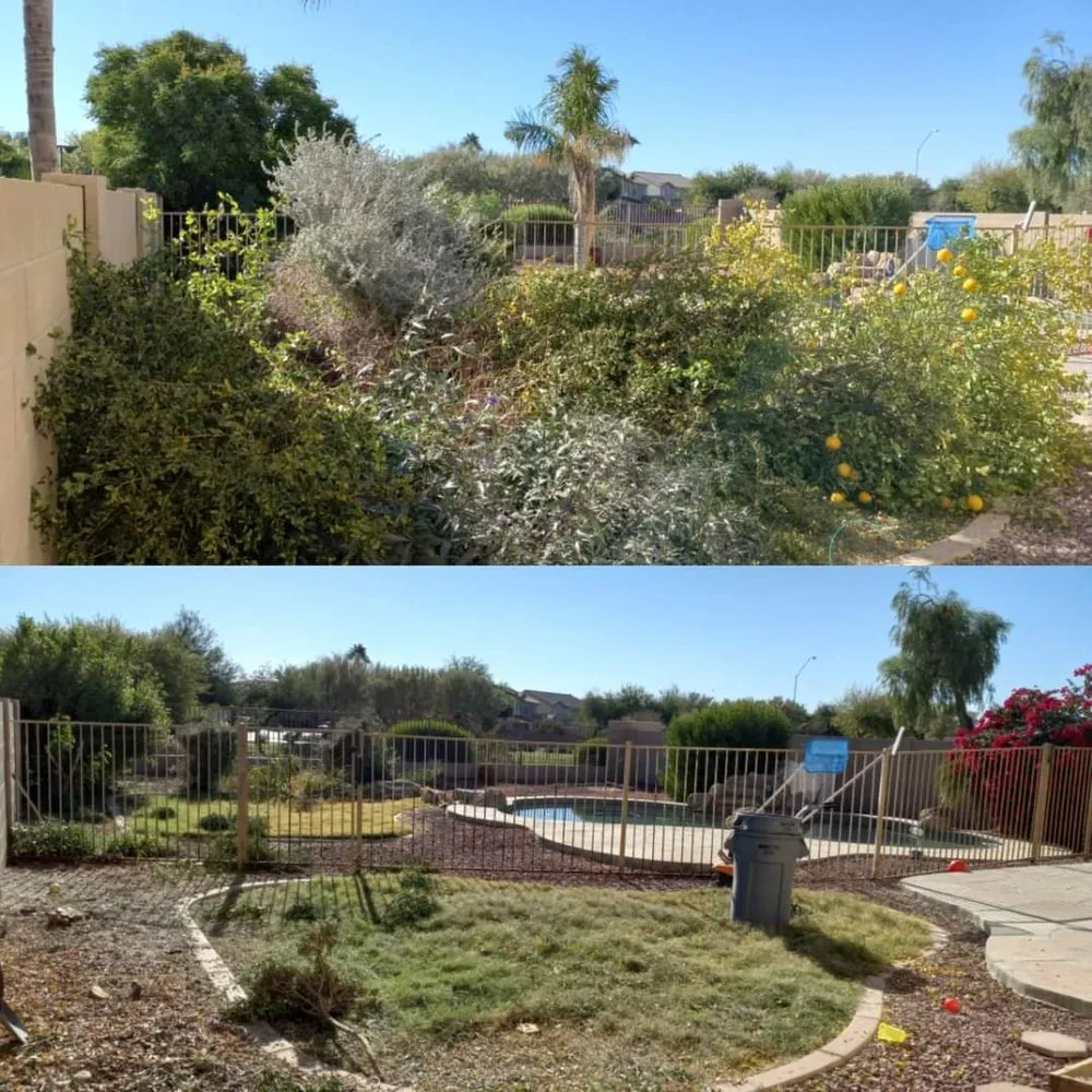 Trusted outdoor landscaping experts serving Casa Grande, AZ - Hire A Henchman DBA The Molina Family Group