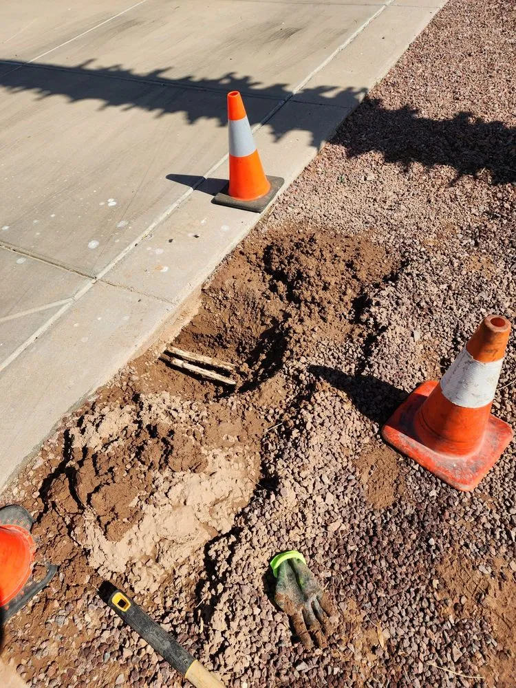 Expert landscaping services for homes in Casa Grande, AZ by Hire A Henchman DBA The Molina Family Group