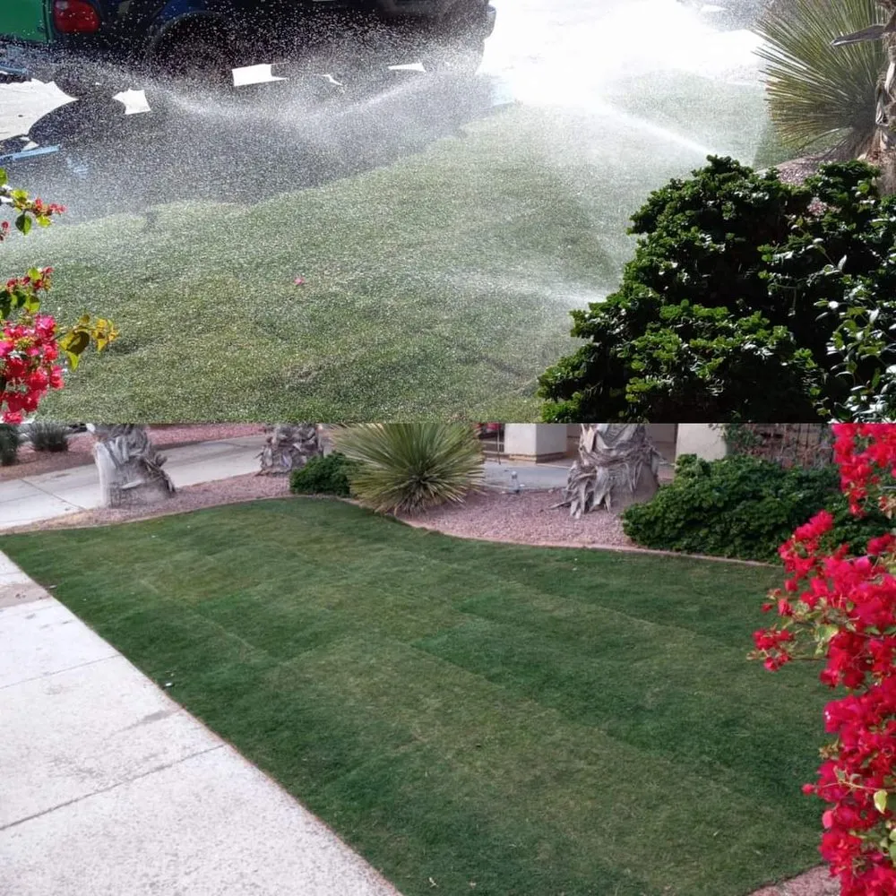 Expert garden landscaping in Casa Grande, AZ by Hire A Henchman DBA The Molina Family Group