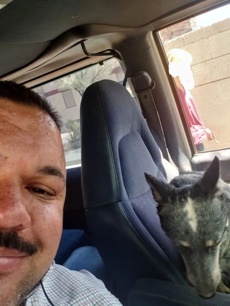 Local lawn mowing service for residential properties across Casa Grande, AZ - Hire A Henchman DBA The Molina Family Group