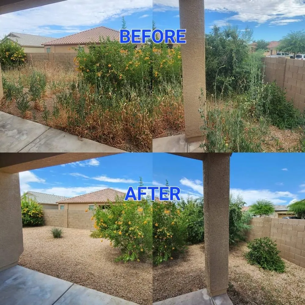 Expert outdoor landscaping near you across Casa Grande, AZ - Hire A Henchman DBA The Molina Family Group