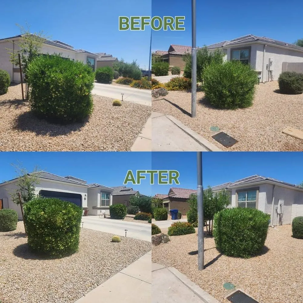 Affordable garden landscaping in Casa Grande, AZ by Hire A Henchman DBA The Molina Family Group