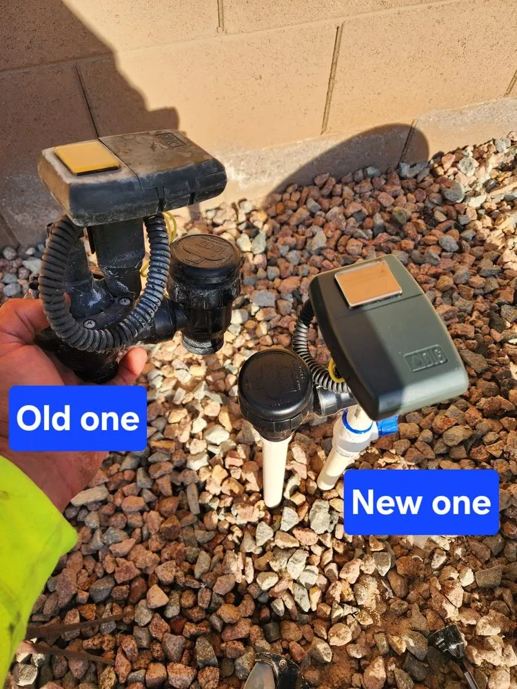 Top-rated landscape installation near you in Casa Grande, AZ by Hire A Henchman DBA The Molina Family Group