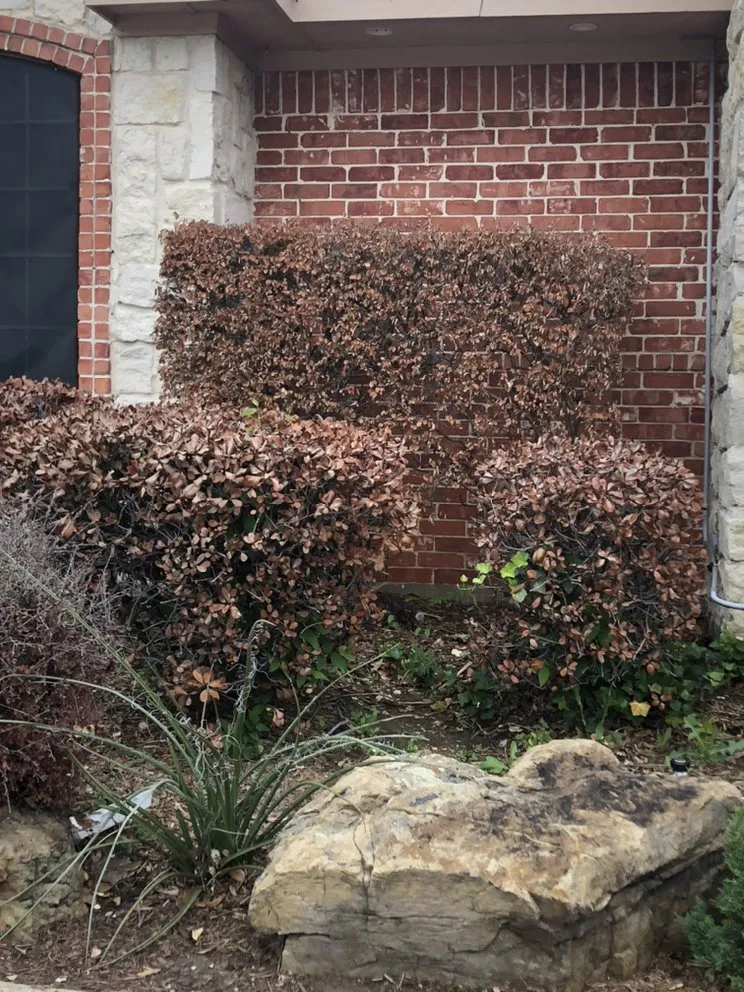 Affordable landscape design in McKinney, TX by Hire-a-Vet Mulch Beds & Junk Removal