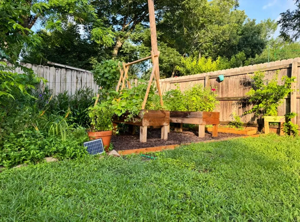 Custom yard maintenance for year-round maintenance in Austin, TX by Hired