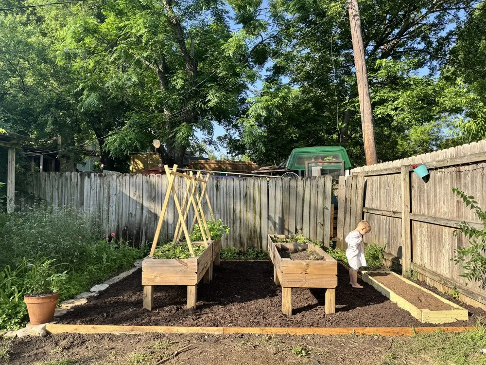 Reliable landscape design in Austin, TX - Hired