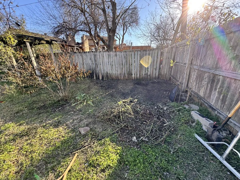 Custom lawn mowing service in Austin, TX by Hired