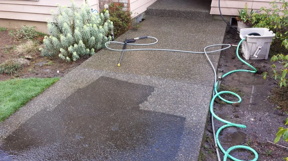 Custom lawn care service experts serving Olympia, WA - Hired Expectations