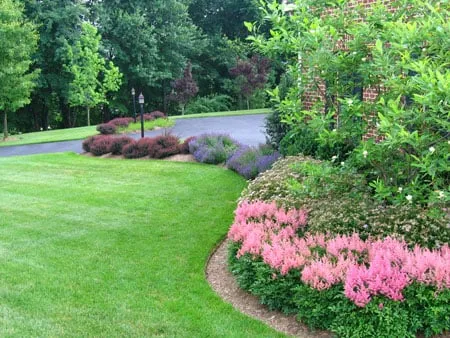 Professional landscape installation experts serving Olympia, WA - Hired Expectations