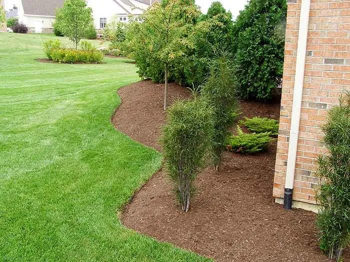 Affordable yard maintenance experts serving Olympia, WA - Hired Expectations