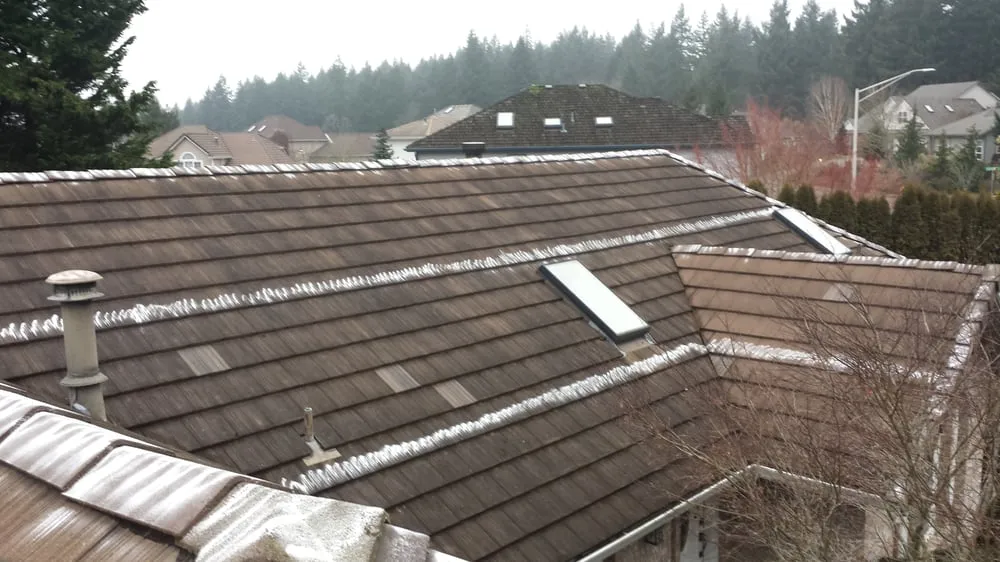 Reliable landscape installation in Olympia, WA by Hired Expectations