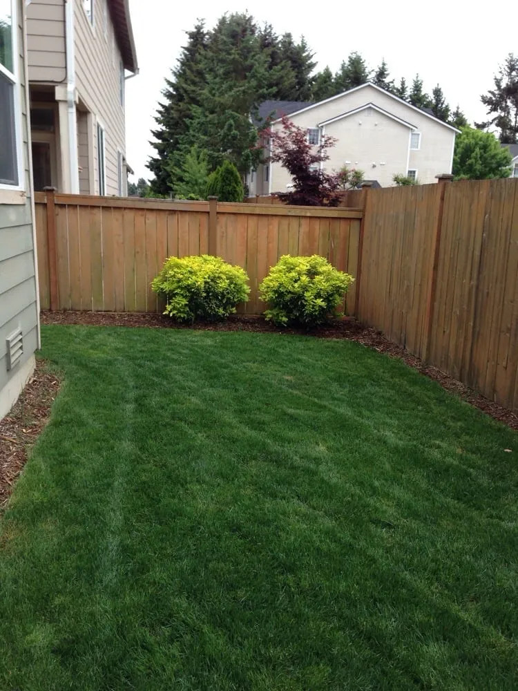 Custom lawn care service for residential properties across Olympia, WA - Hired Expectations