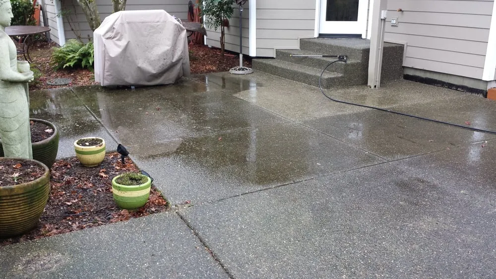 Trusted landscaping services in Olympia, WA by Hired Expectations