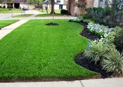 Reliable residential landscaping experts serving Olympia, WA - Hired Expectations