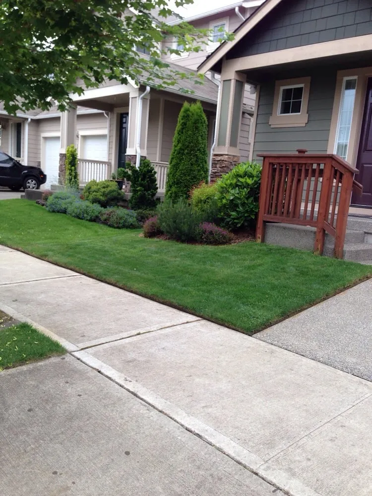 Top-rated landscape installation experts serving Olympia, WA - Hired Expectations