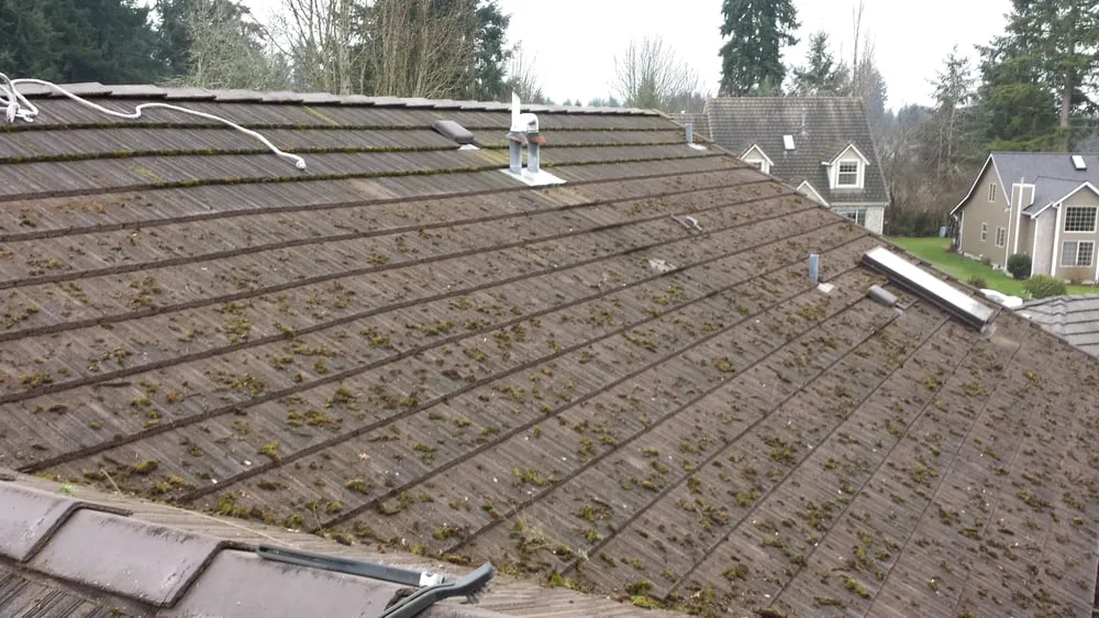 Custom outdoor landscaping in Olympia, WA - Hired Expectations