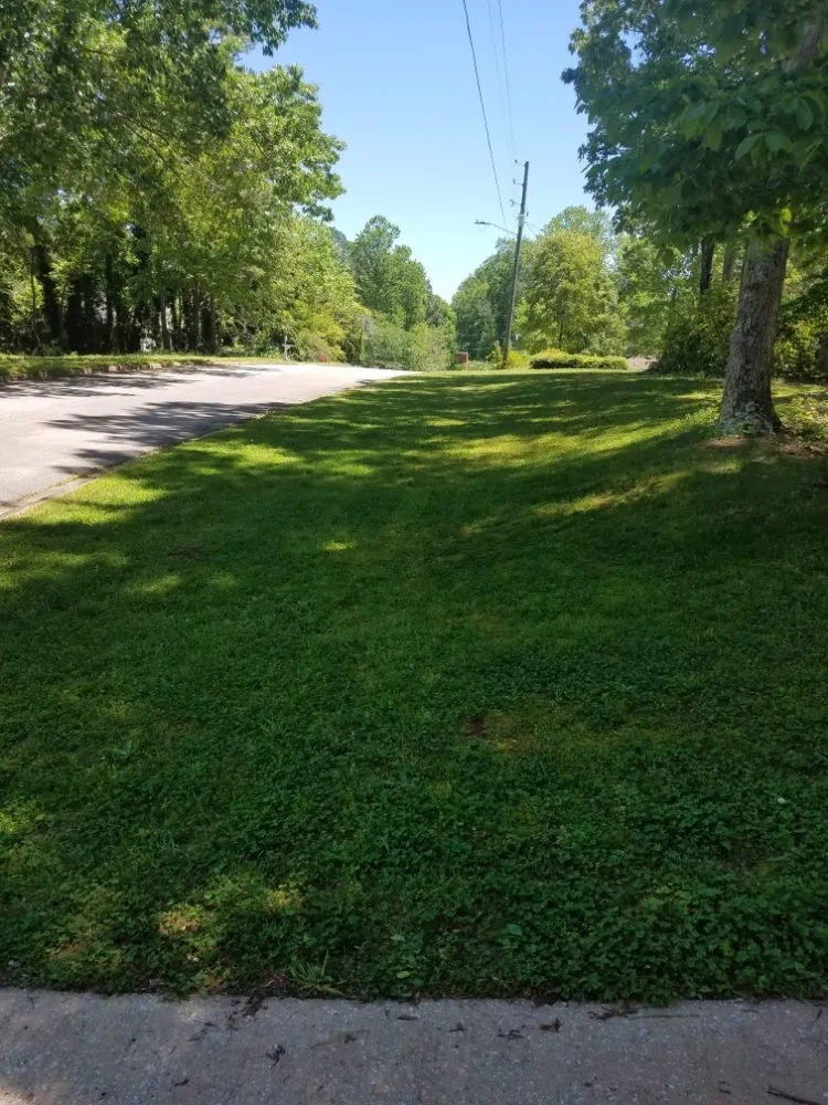 Expert yard cleanup service for beautiful yards in Douglasville, GA by Hired Husband