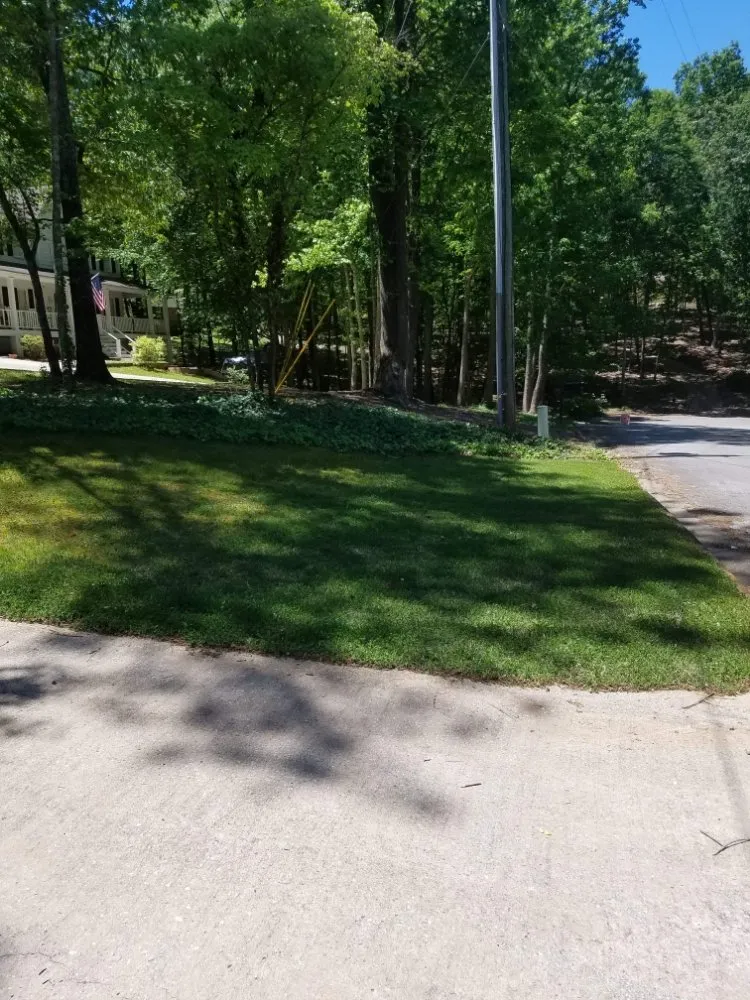Affordable yard maintenance in Douglasville, GA by Hired Husband