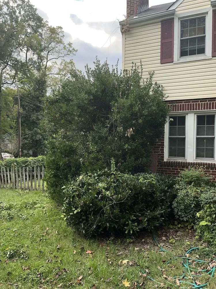 Top-rated garden landscaping in Greenbelt, MD - Hiremanpower