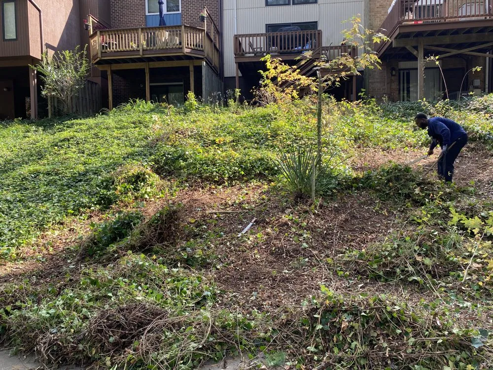 Custom residential landscaping experts serving Greenbelt, MD - Hiremanpower