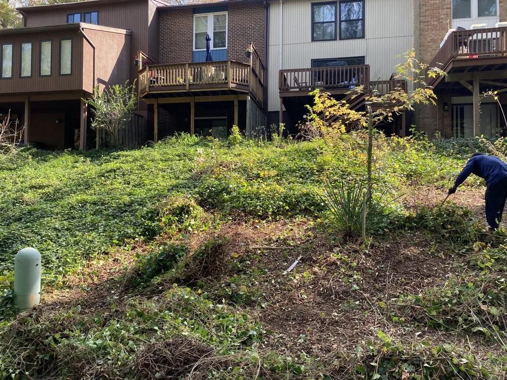 Top-rated yard cleanup service for beautiful yards across Greenbelt, MD - Hiremanpower