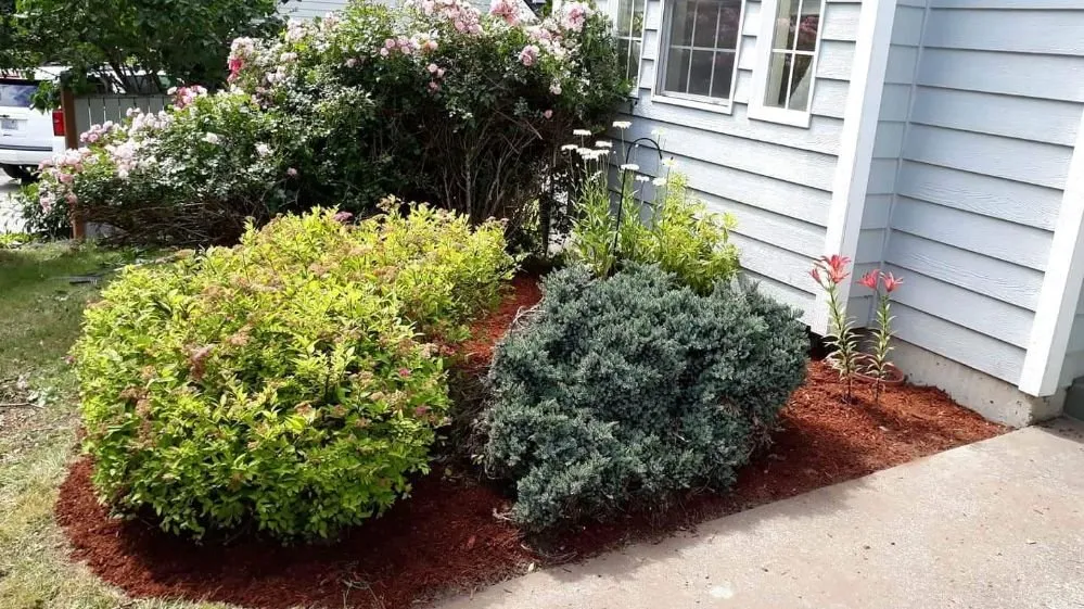 Top-rated landscape design for outdoor upgrades in Suquamish, WA by Hirschy's Northwest Gardens