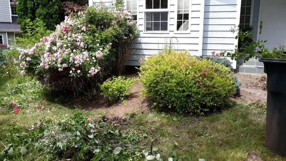 Expert yard maintenance in Suquamish, WA - Hirschy's Northwest Gardens