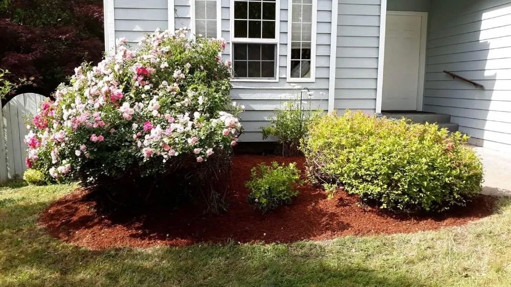 Reliable outdoor landscaping in Suquamish, WA - Hirschy's Northwest Gardens