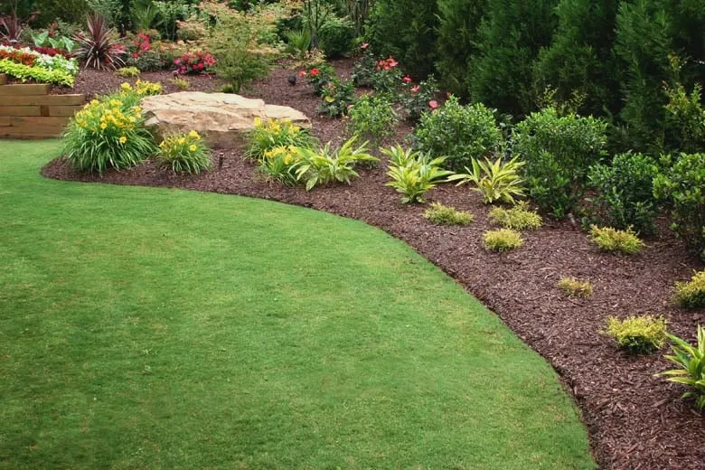 Expert landscaping services for year-round maintenance in Santa Rosa, CA by His & Hers Landscape