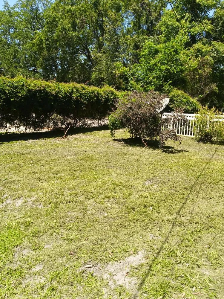 Expert landscape design for homes across Jacksonville, FL - His & Hers Services