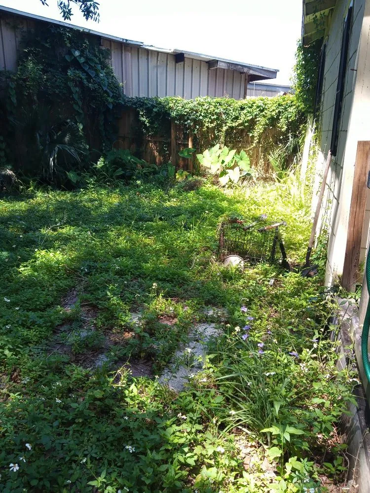 Expert outdoor landscaping in Jacksonville, FL - His & Hers Services